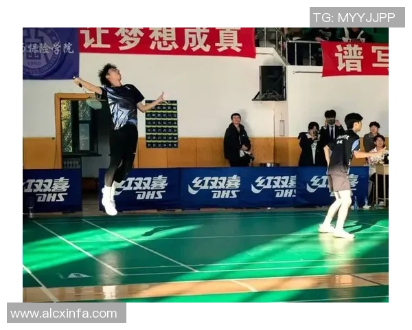 武汉羽毛球队团队协作的力量与魅力探索羽毛球运动的团结精神与合作之道